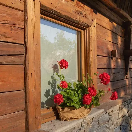 Petit Haury - Alloggi Ad Uso Turistico Vda N 0039 E N 0040 - Дом отдыха *